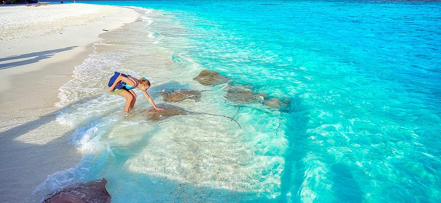 Banyan Tree Vabbinfarus отзывы