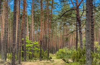 Лечебные санатории в Европе