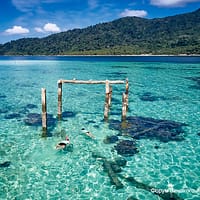 Кто кусается в море в Тайланде