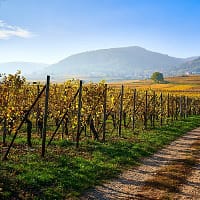 Нерабочие дни в РФ