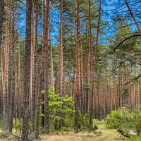 Лечебные санатории в Европе