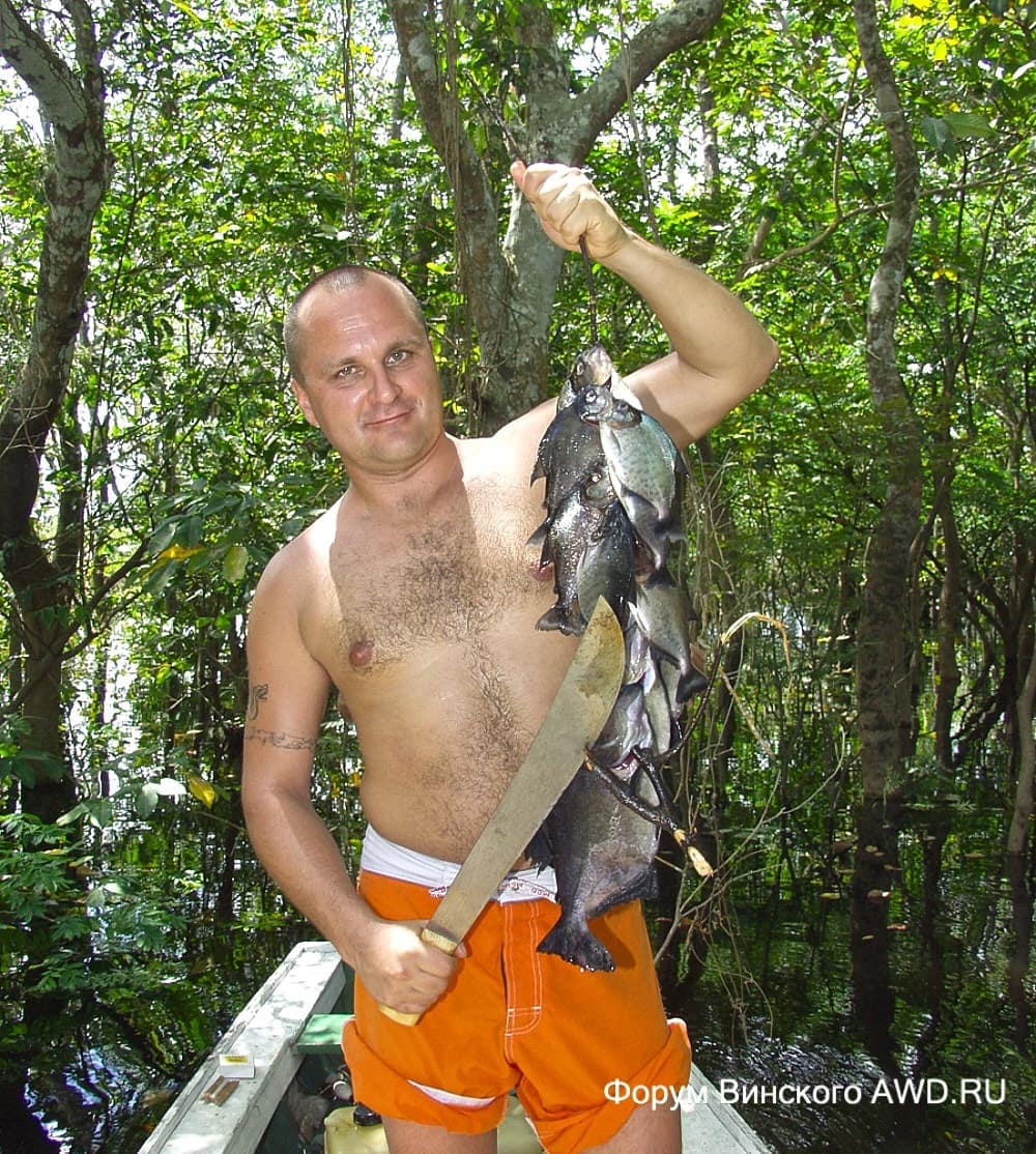 Путешествие по Амазонке в Бразилии