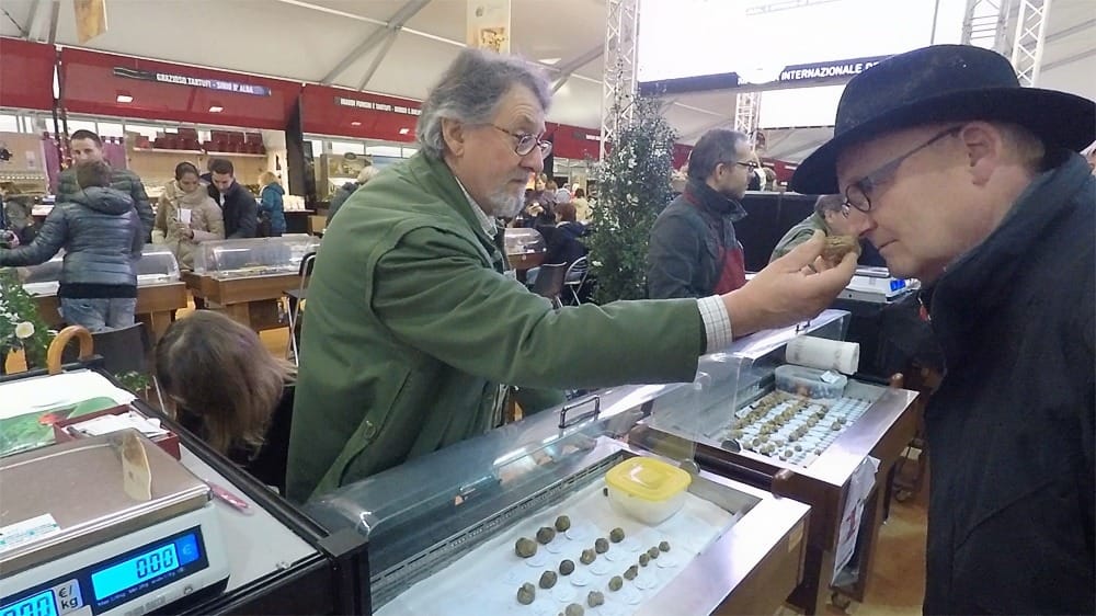 Винный и гастрономический маршрут в Пьемонте