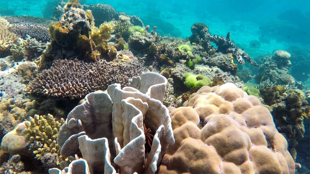 Лучшие пляжи на Филиппинах: остров Ditaytayan