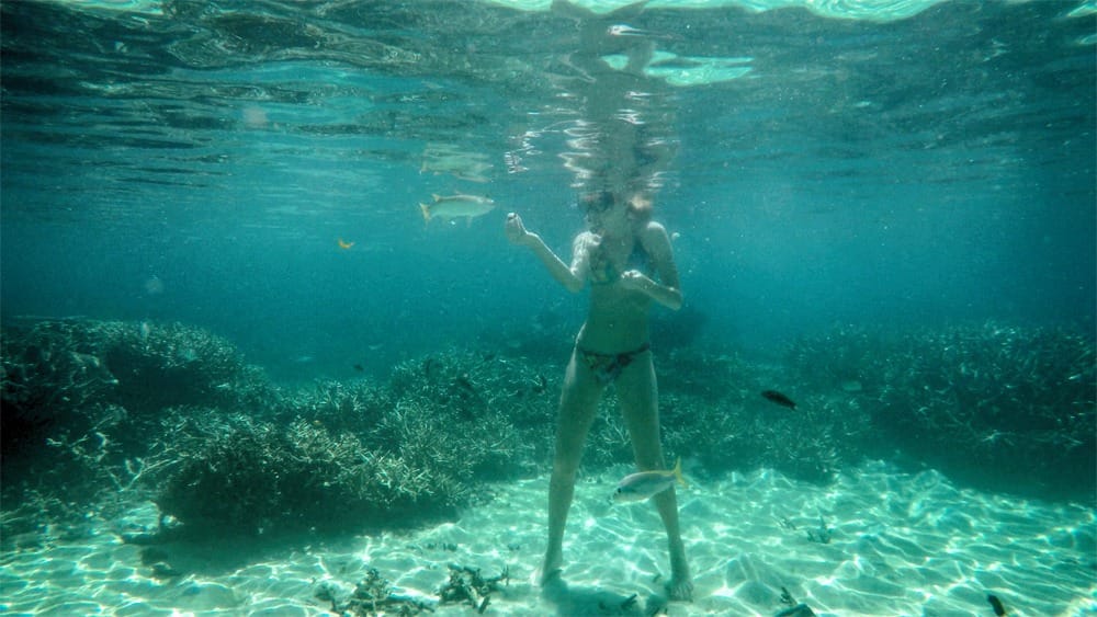 Остров Реданг отзыв