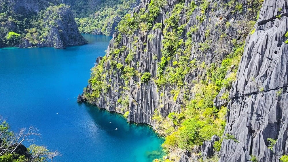 Barracuda Lake Филиппины