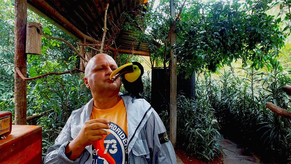 Коста-Рика самостоятельно