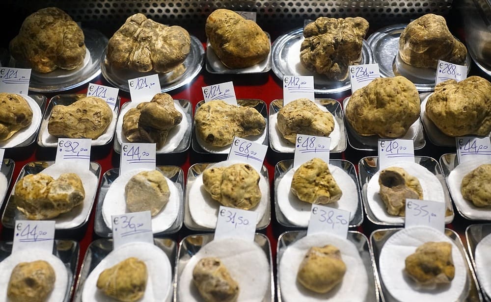 Винный и гастрономический маршрут в Пьемонте