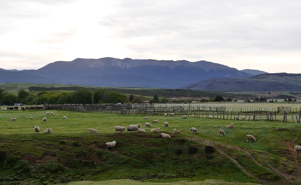 Милфорд-Саунд Новая Зеландия отзывы
