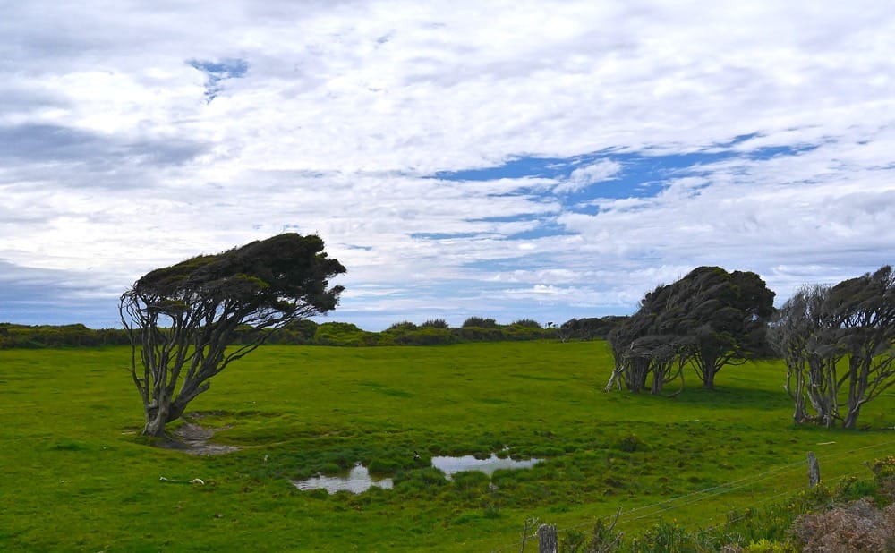 Ледник Фокса и Франца-Иосифа в Новой Зеландии