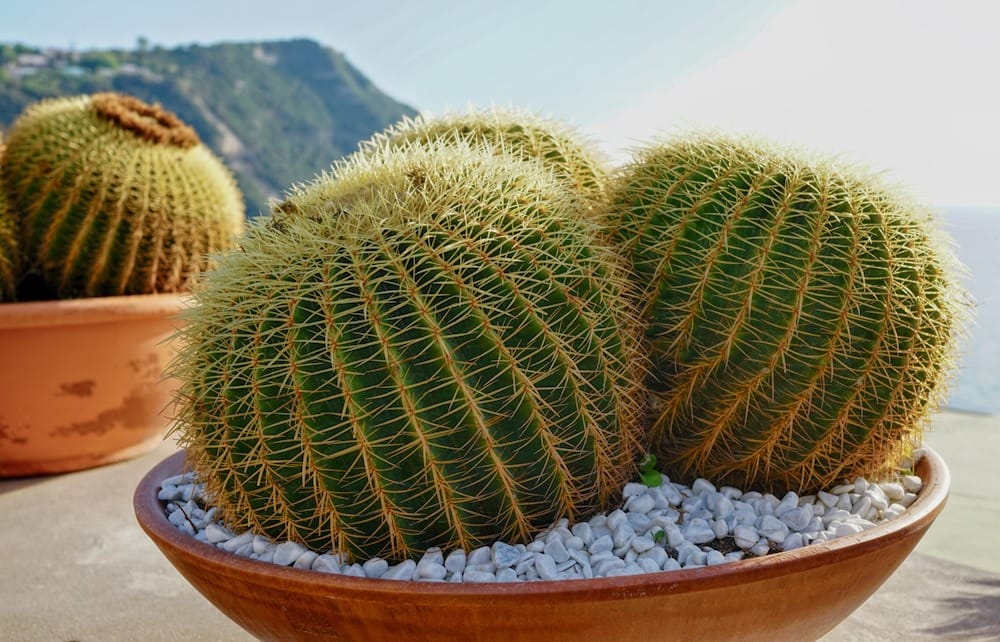 Искья как добраться