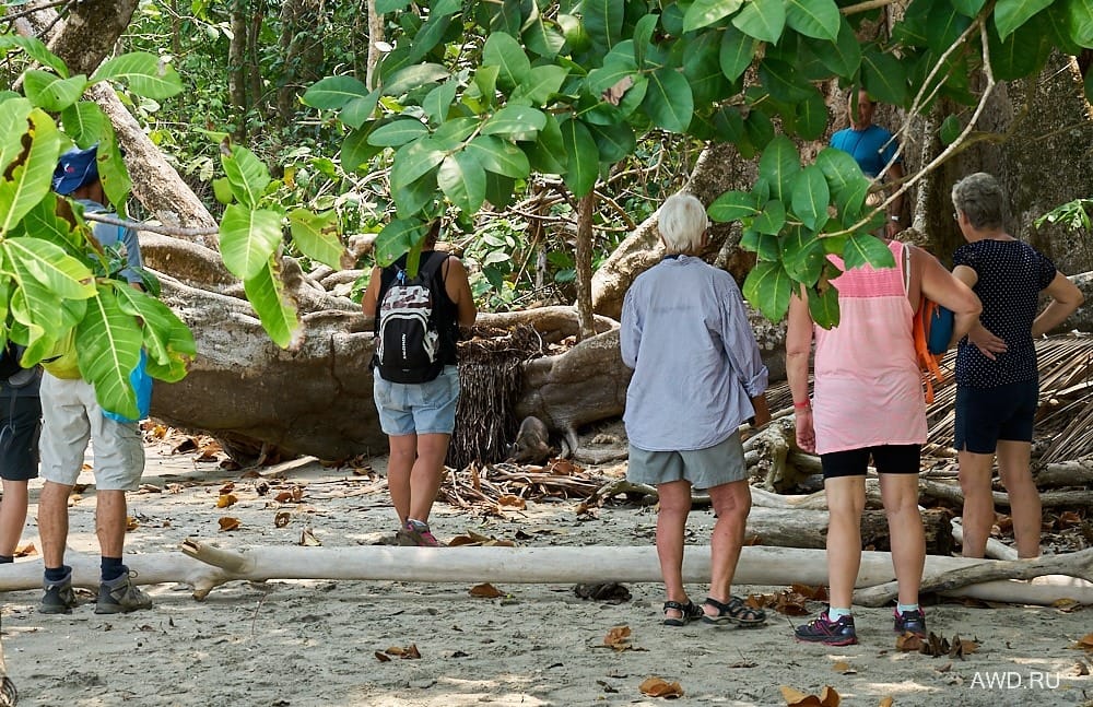 Национальный парк Мануэль Антонио