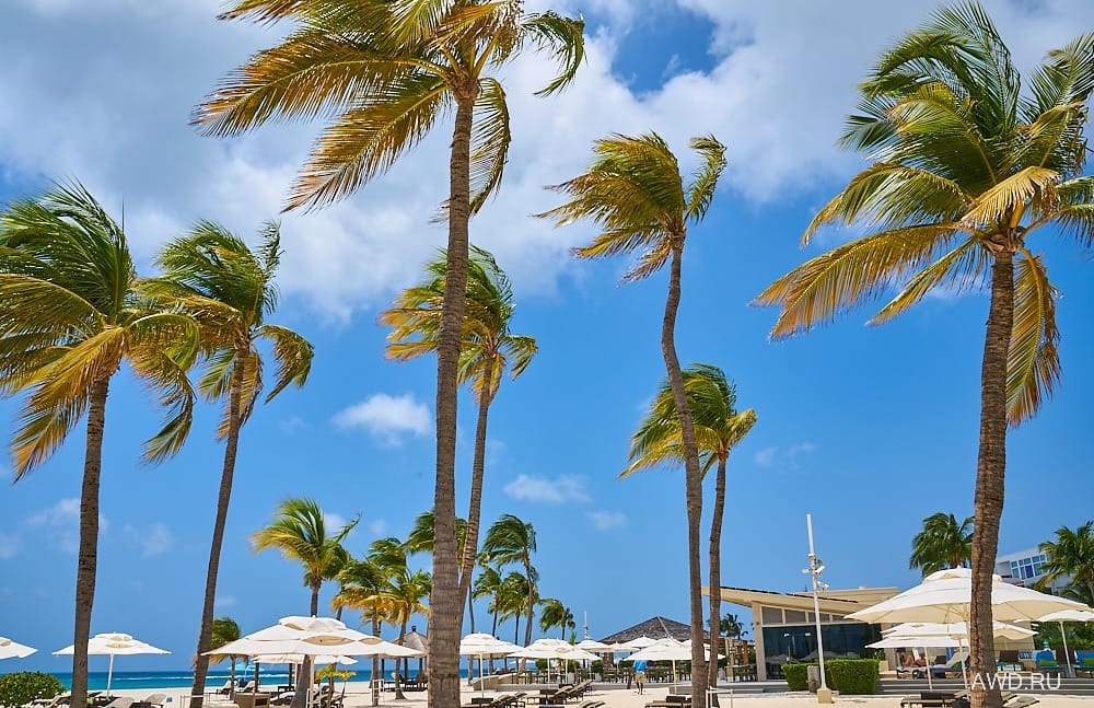 Eagle beach Аруба