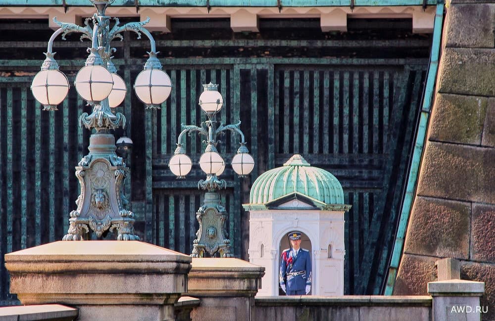 Цветение сакуры в Японии