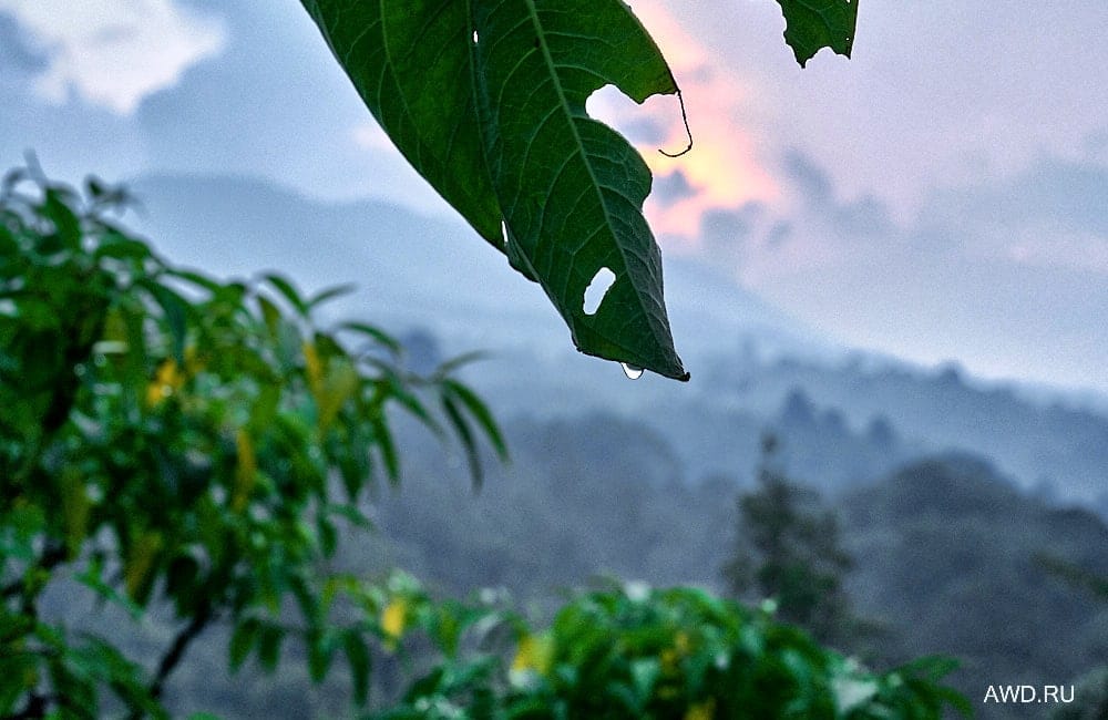 Коста-Рика самостоятельно