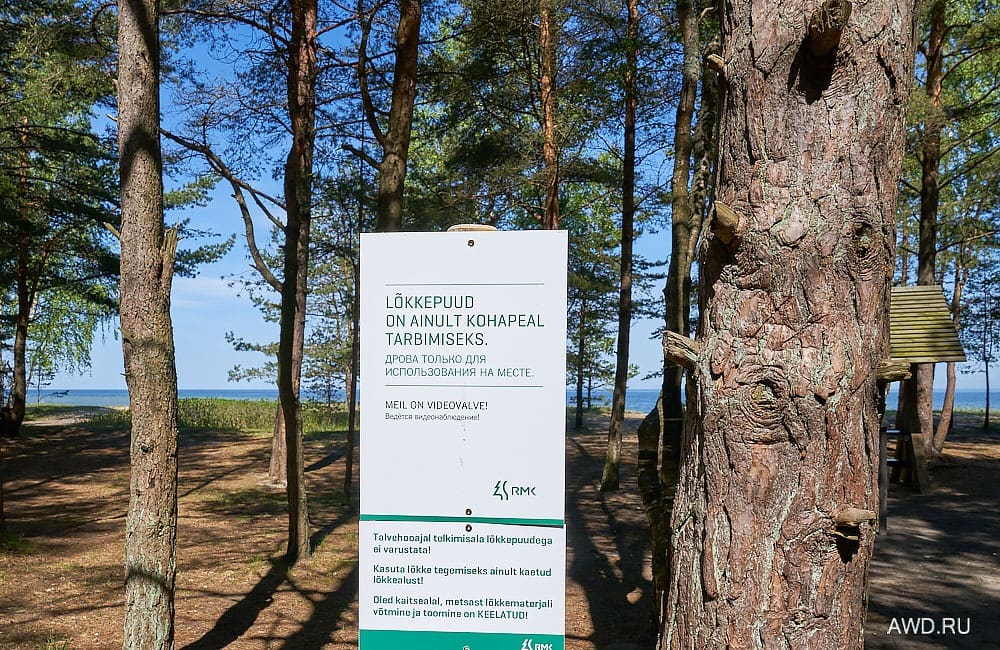 Необычные места в Эстонии