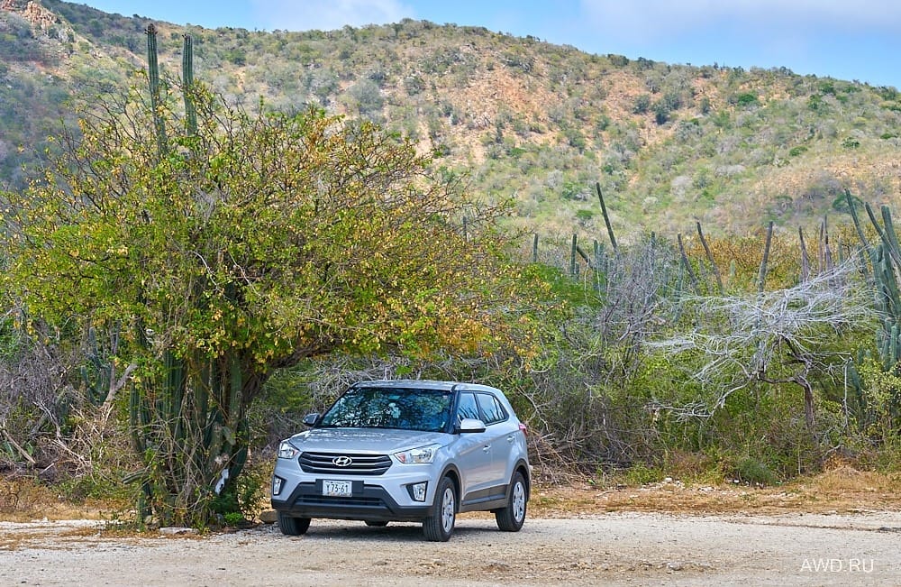 Кюрасао отзывы