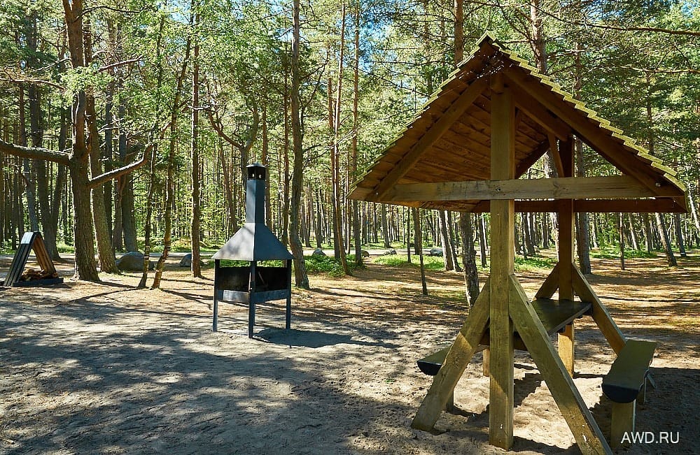 Необычные места в Эстонии