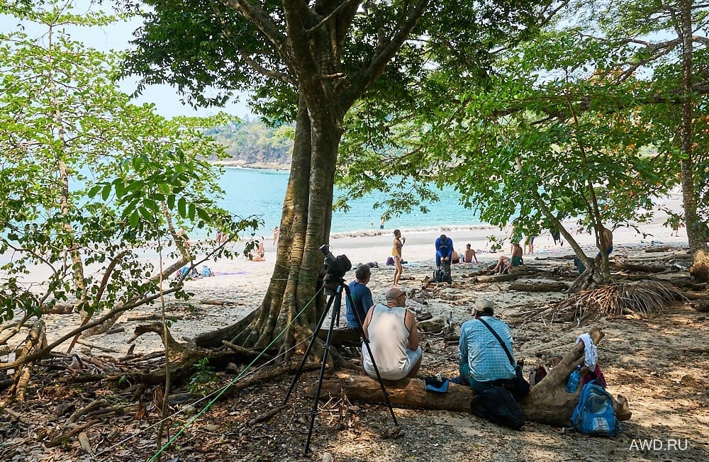 Национальный парк Мануэль Антонио