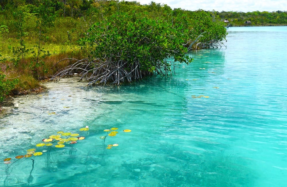 Лагуна Bacalar Мексика