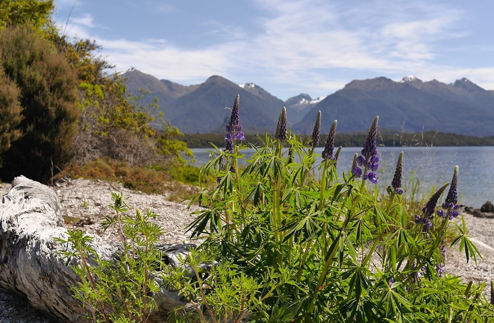 Милфорд-Саунд Новая Зеландия отзывы