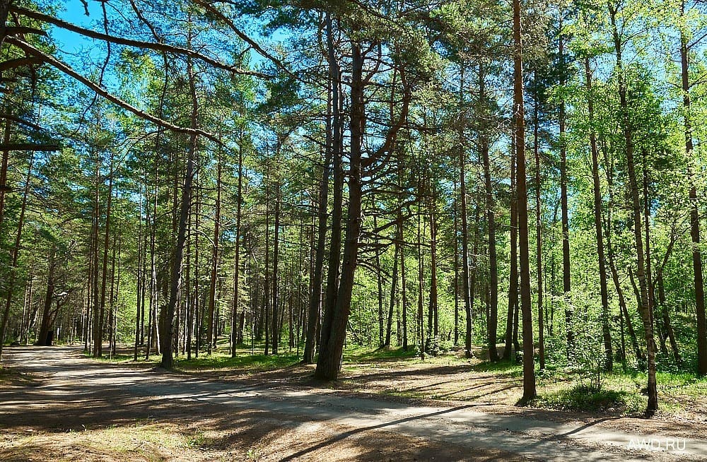 Необычные места в Эстонии