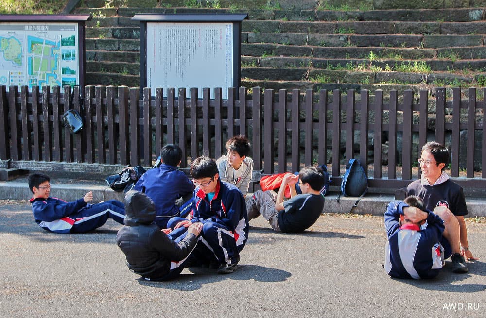 Путешествие в Японию на цветение сакуры