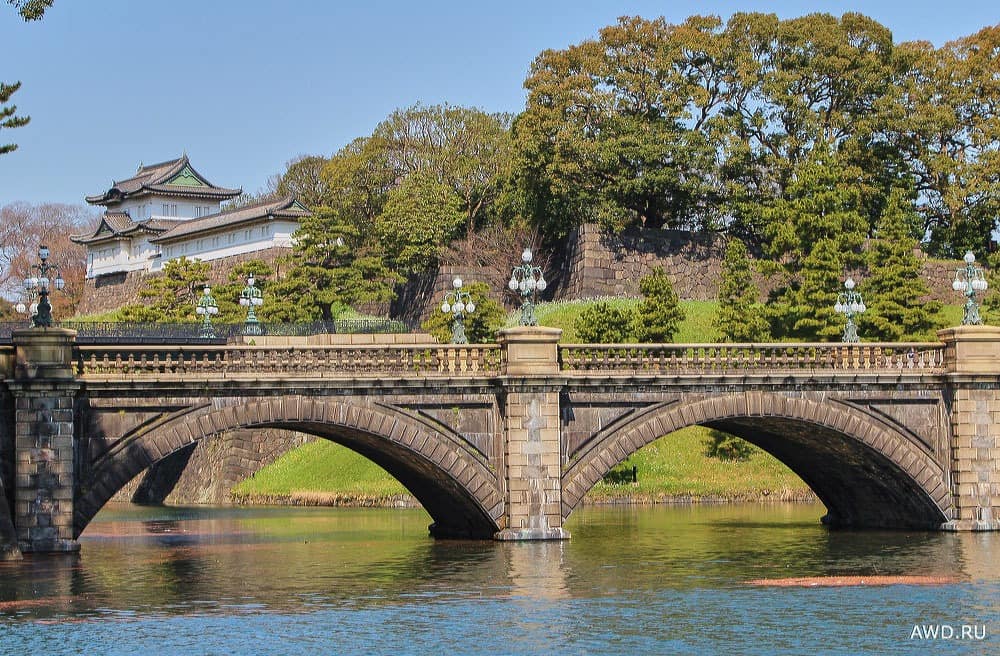 Цветение сакуры в Японии