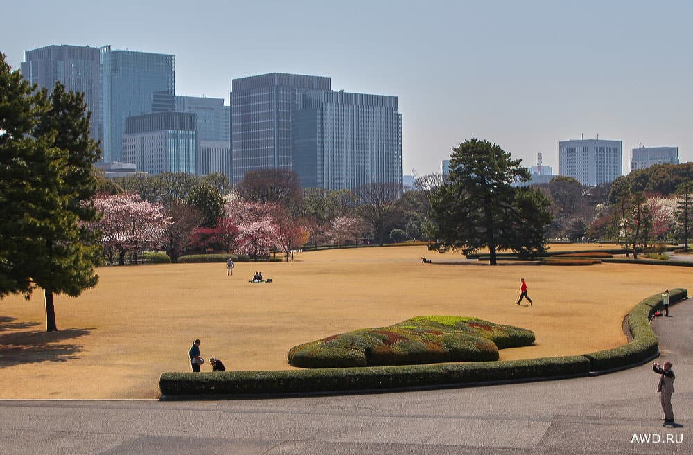 Путешествие в Японию на цветение сакуры