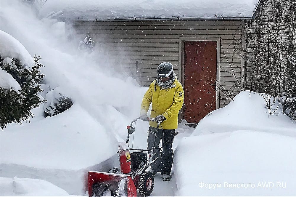 Жизнь на даче плюсы и минусы