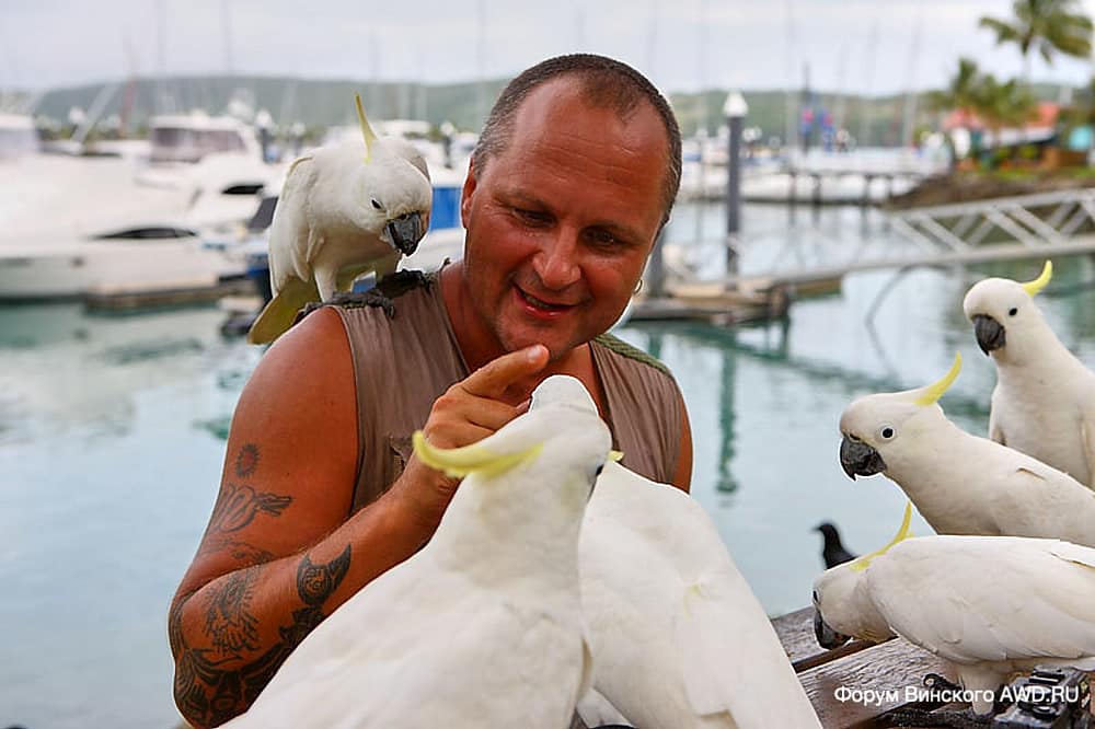 Виза в Австралию 2019