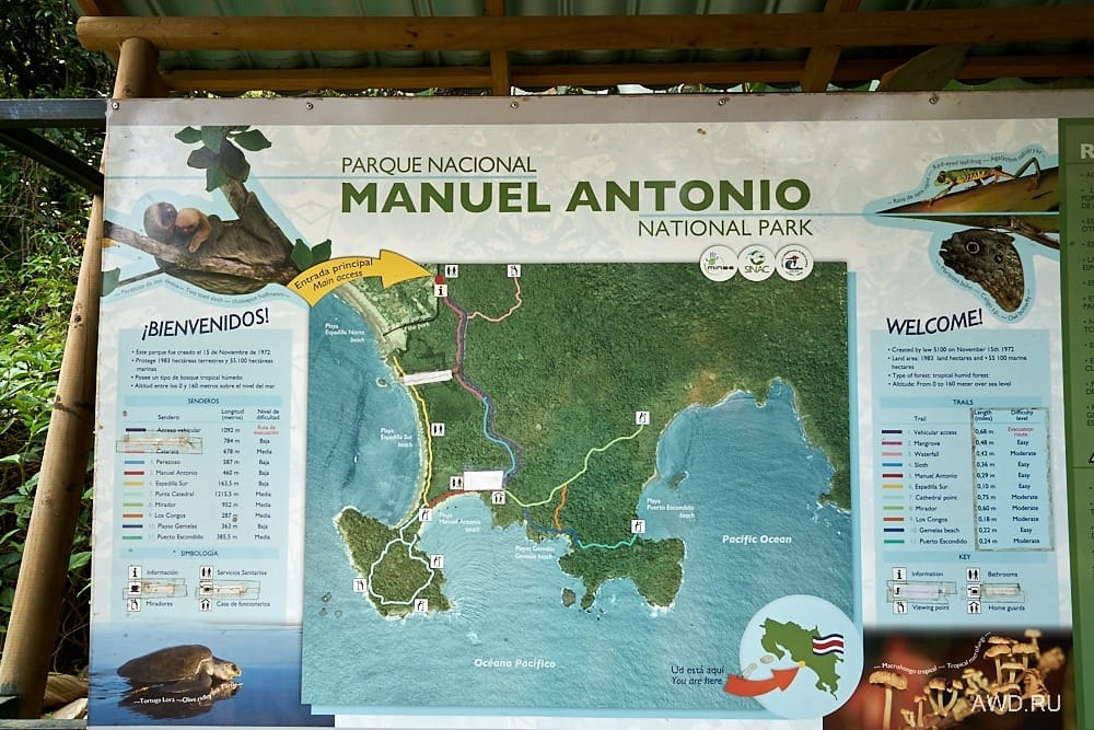 Национальный парк Мануэль Антонио