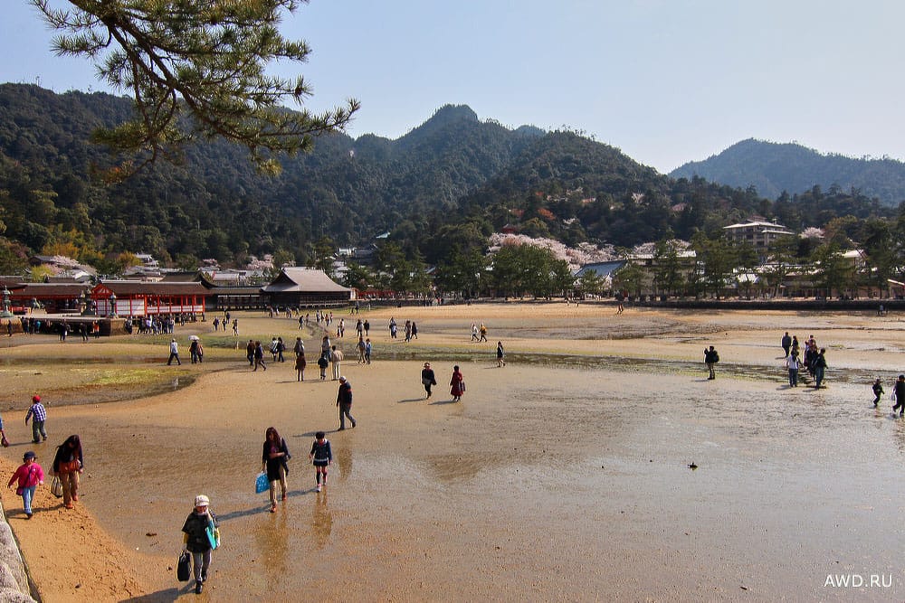 Остров Миядзима что посмотреть