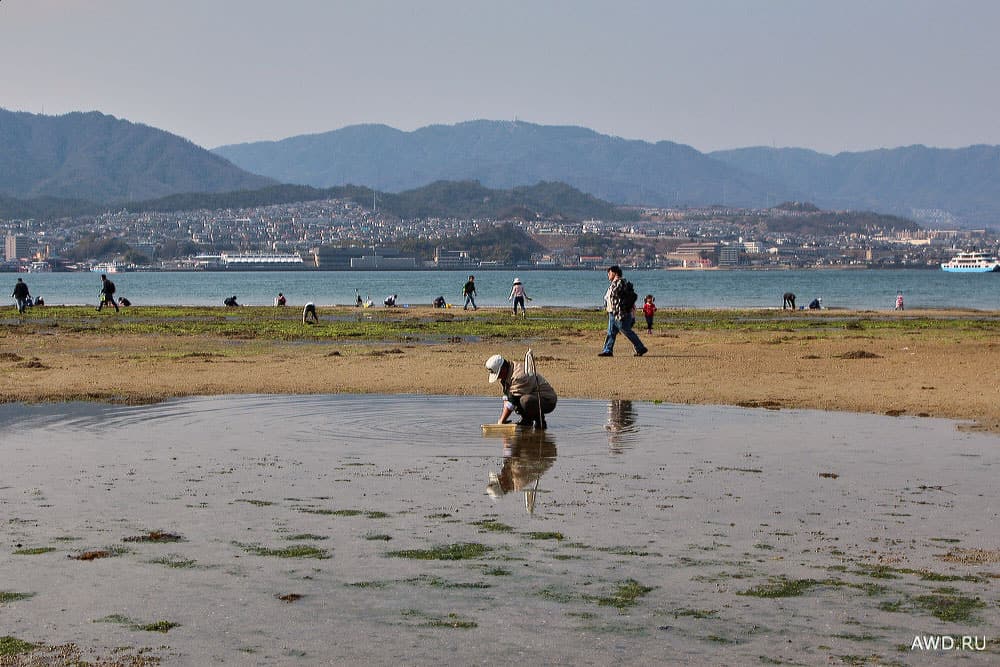 Остров Миядзима что посмотреть