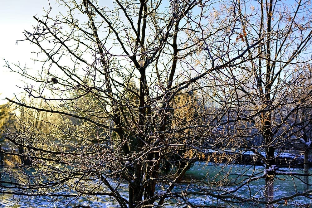 Как не болеть