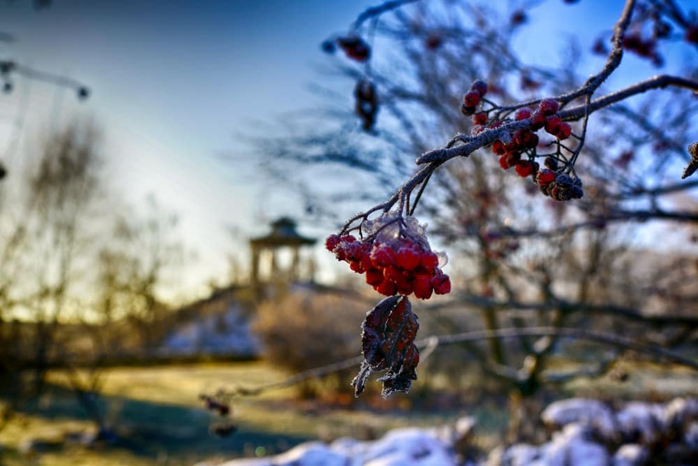 Как не болеть вообще