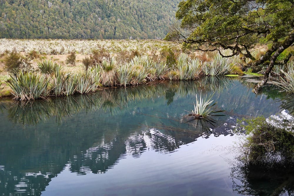 Милфорд-Саунд Новая Зеландия отзывы