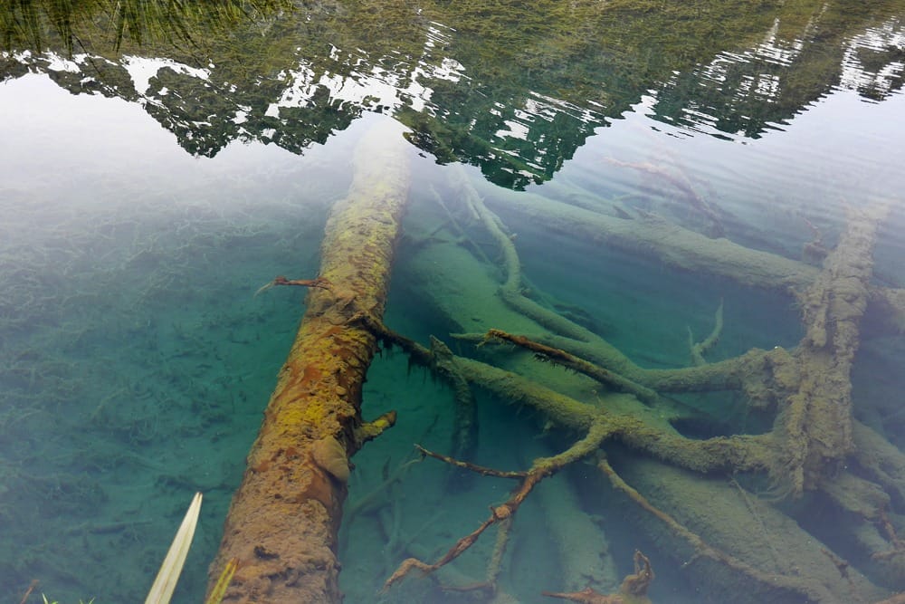 Милфорд-Саунд Новая Зеландия отзывы