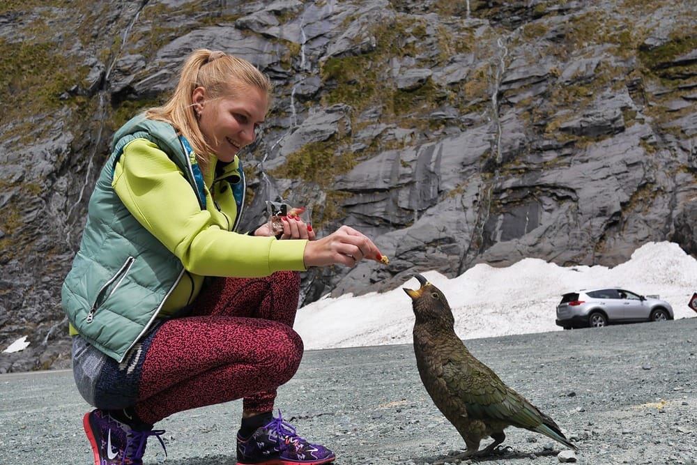 Милфорд-Саунд Новая Зеландия отзывы