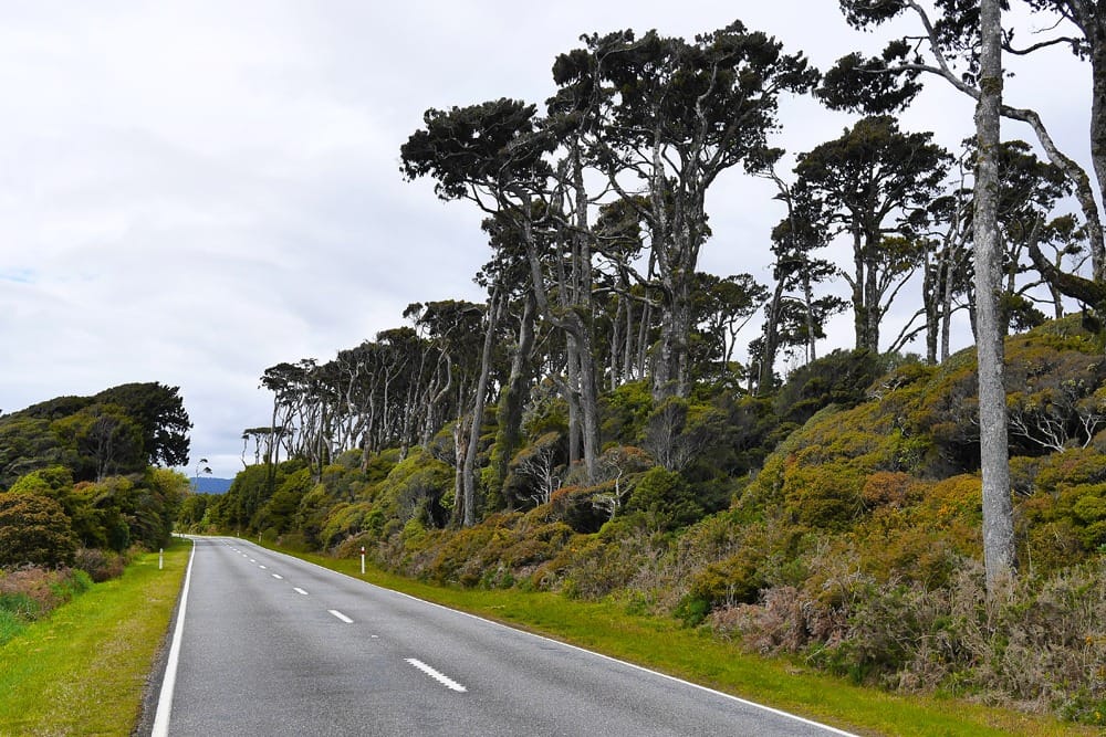 Ледник Фокса и Франца-Иосифа
