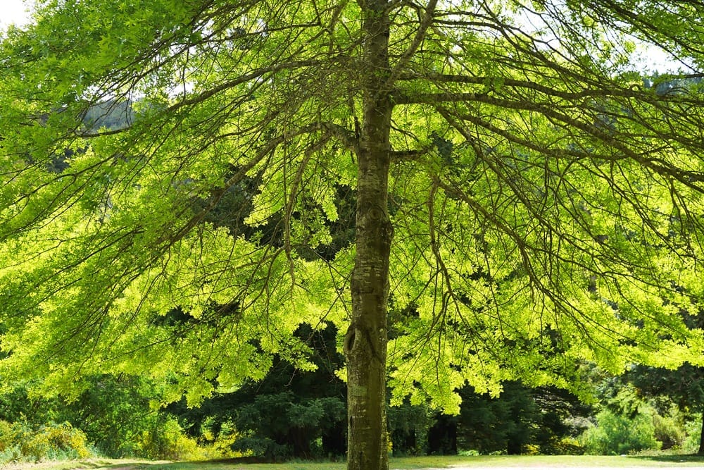 Национальный парк Абель-Тасман