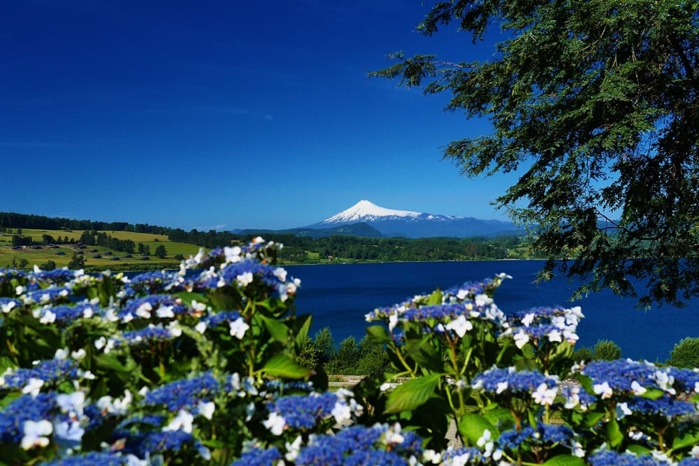 Озерный край Чили фото отзывы