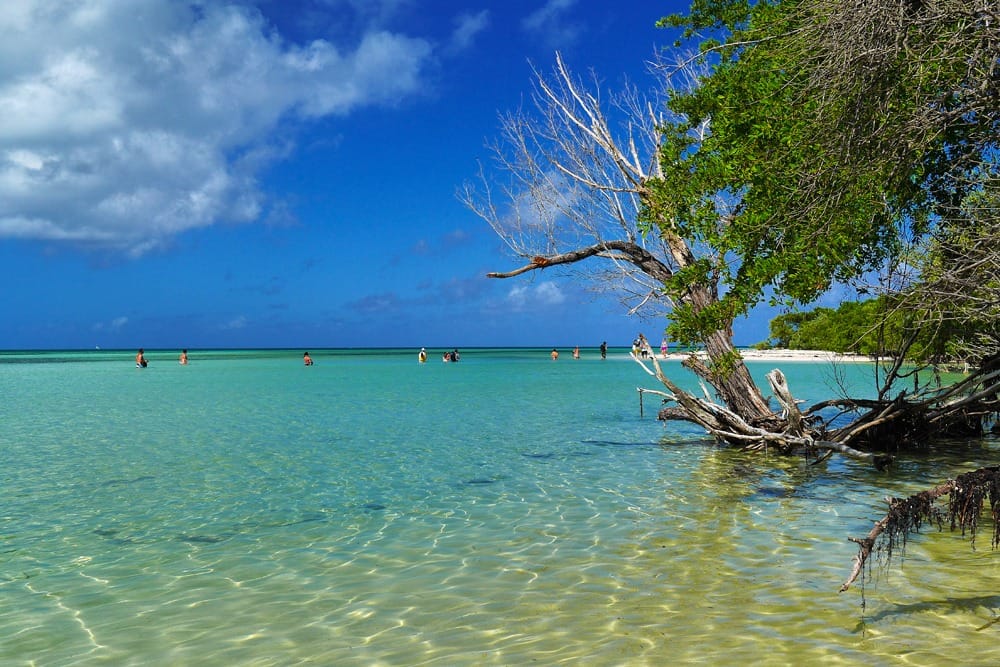 Отзыв об отдыхе на Кубе