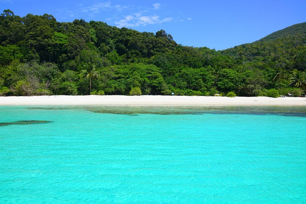 Остров Реданг отзыв