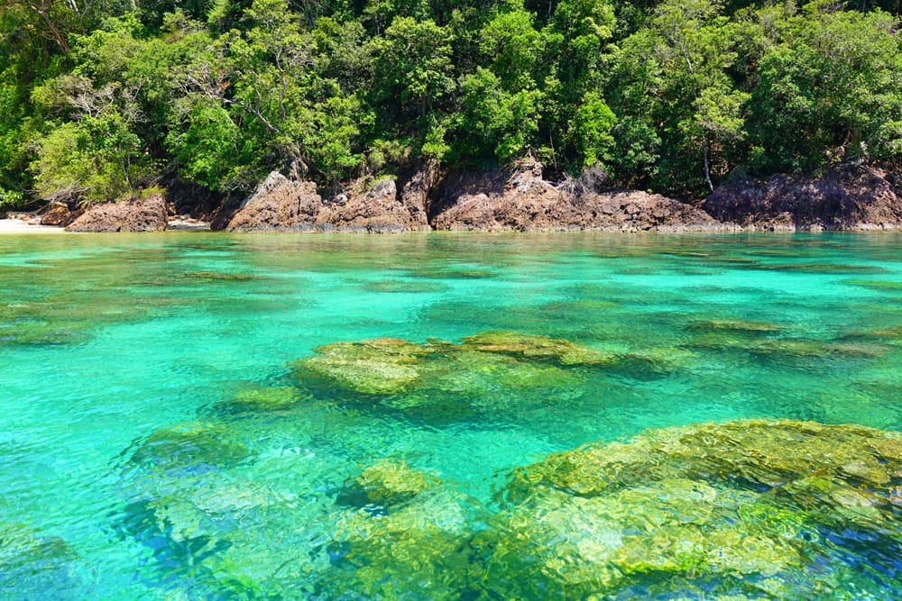 Остров Реданг отзыв