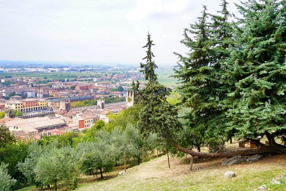 Дегустации в Соаве Италия