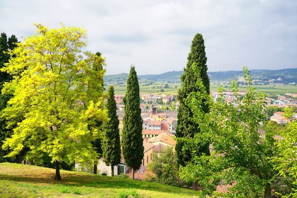 Дегустации в Соаве Италия