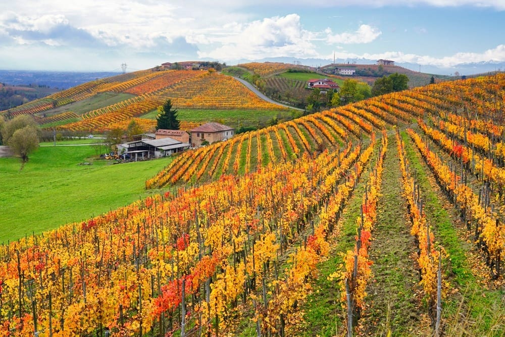 Винный и гастрономический маршрут в Пьемонте
