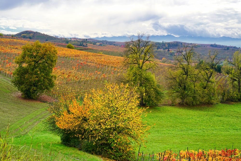 Италия Пьемонт винная дорога