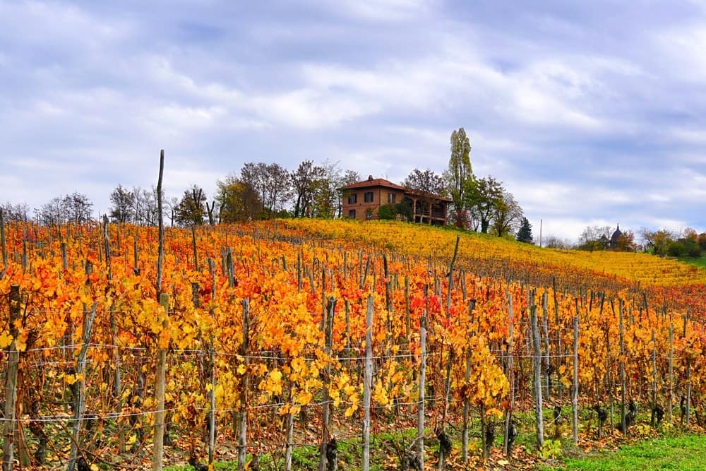 Италия Пьемонт винная дорога